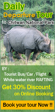 Rhino Land Chitwan- Chitwan National Park